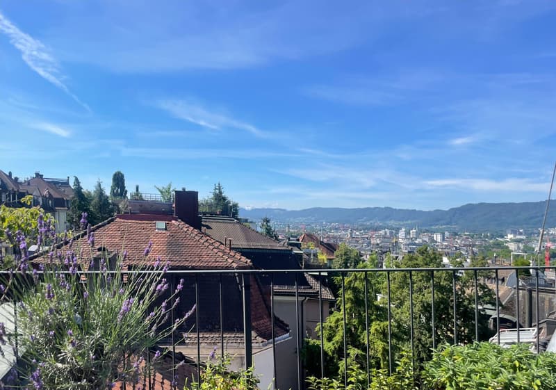 The image shows a panoramic view of a city skyline from a high vantage point. The foreground features rooftops and greenery, with a cityscape in the background under a bright blue sky with wispy clouds. The city appears to be a densely populated urban are