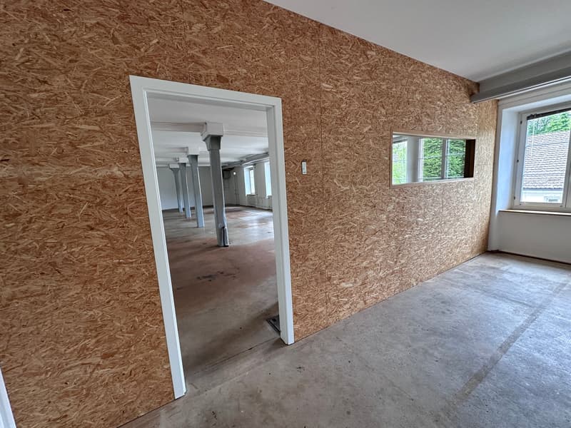 Loft di fabbrica luminoso come ufficio/studio (6)