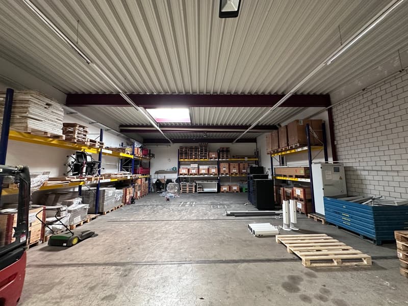 Werkstatt-/Gewerberaum im EG (5)