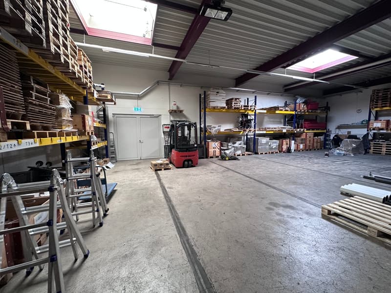 Werkstatt-/Gewerberaum im EG (7)