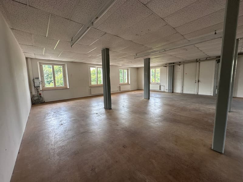 Gewerbe- und Retailfläche im historischen Altbau – Aathalstrasse 84, Uster (4)