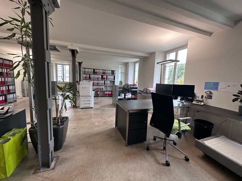 Gewerbe- und Retailfläche im historischen Altbau – Aathalstrasse 84, Uster (4)