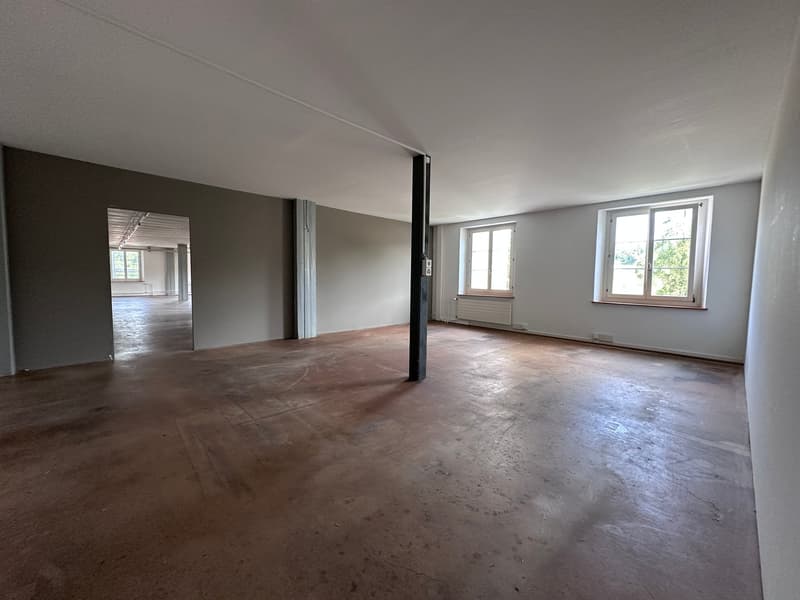 Gewerbe- und Retailfläche im historischen Altbau – Aathalstrasse 84, Uster (7)