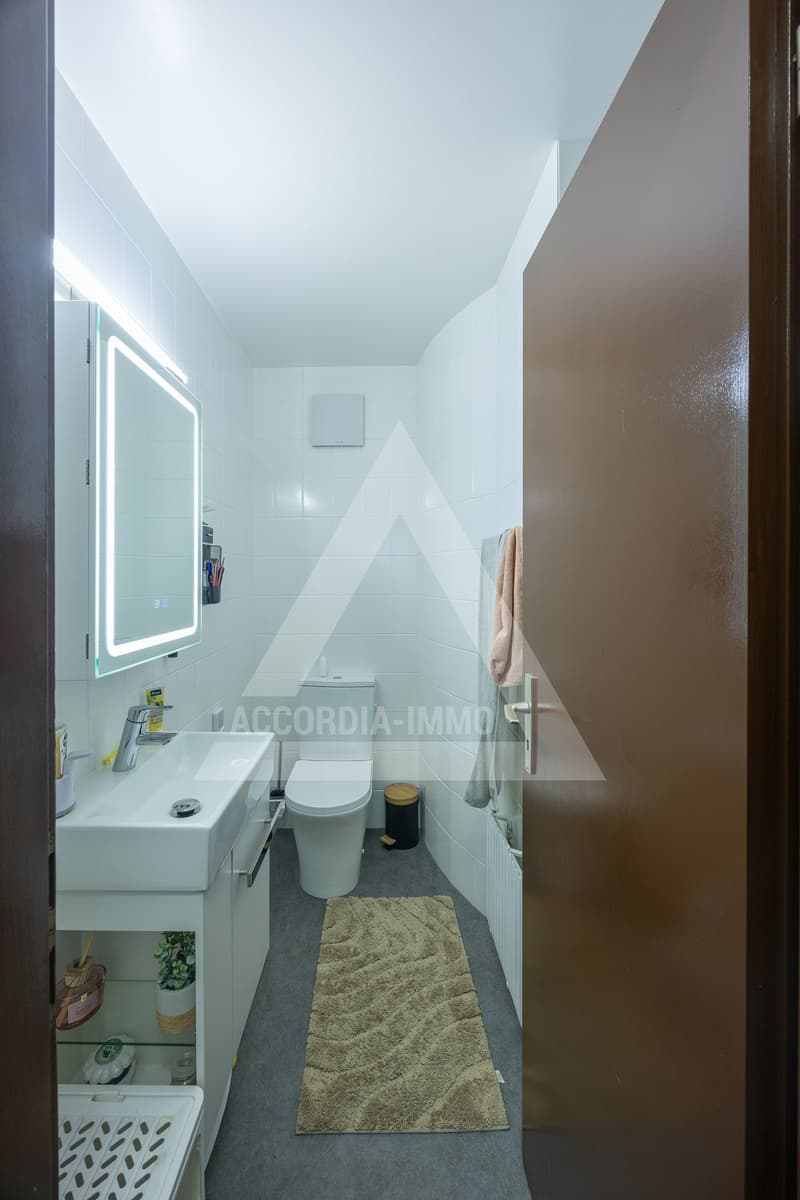 Magnificent 4.5 Room Apartment Renovated (97 m²) in Monthey (15)
