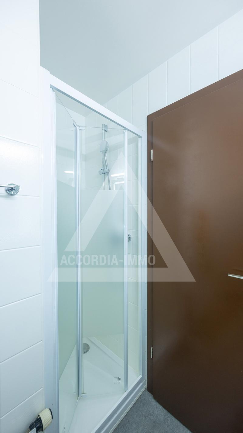 Magnificent 4.5 Room Apartment Renovated (97 m²) in Monthey (16)
