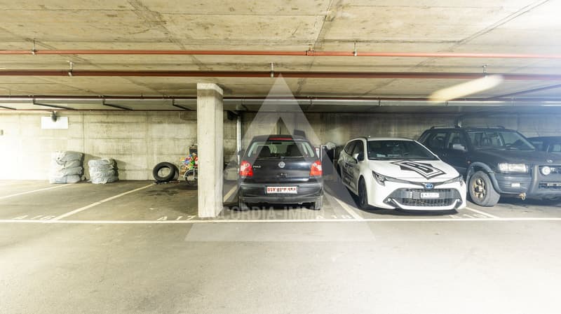 Magnificent 4.5 Room Apartment Renovated (97 m²) in Monthey (20)