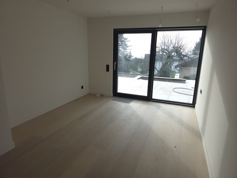 Magnifica villa di 7.5 locali a St-Légier-La Chiésaz (12)