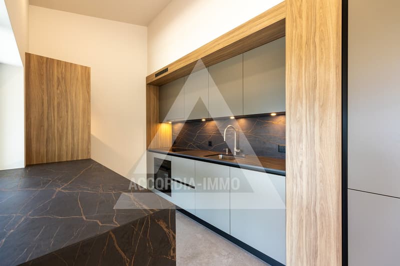Magnifique villa de 7.5 pièces à St-Légier-La Chiésaz (4)