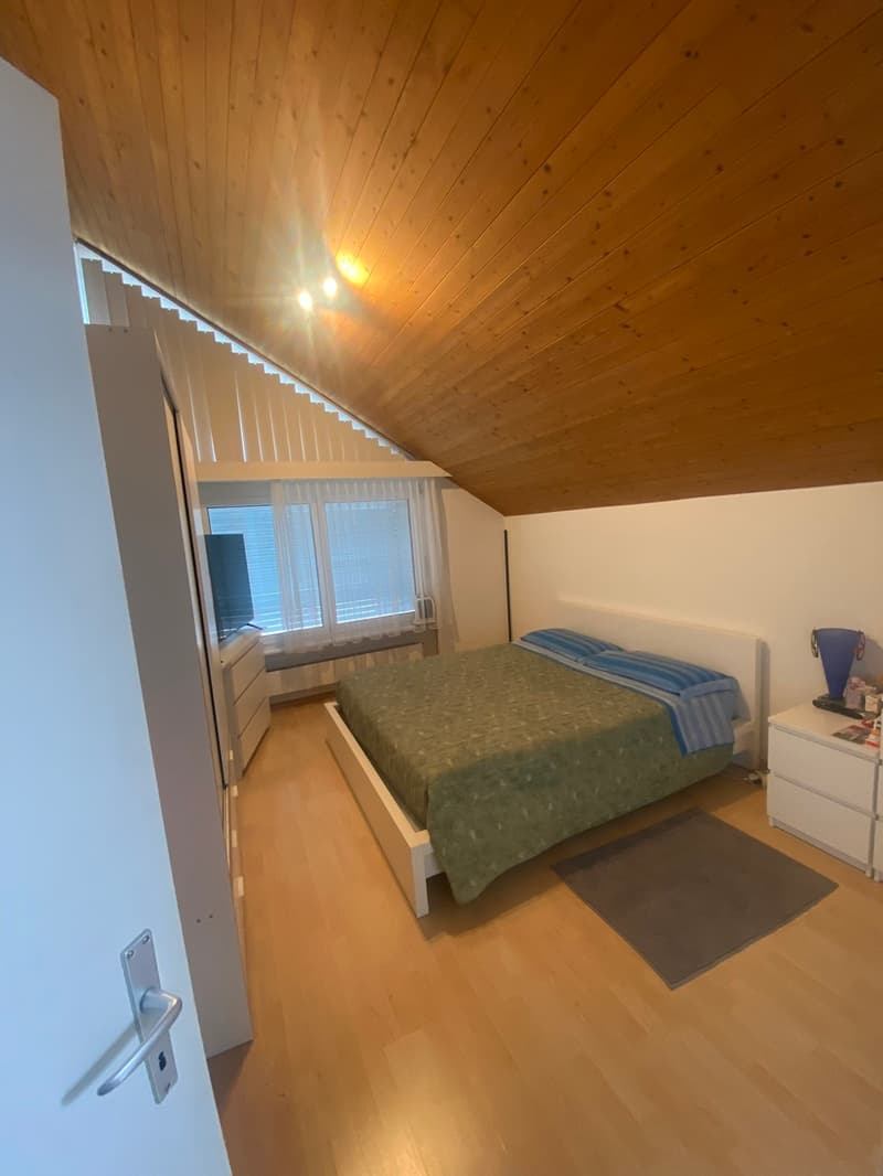 Spacious 3.5-room apartment in central location (6)