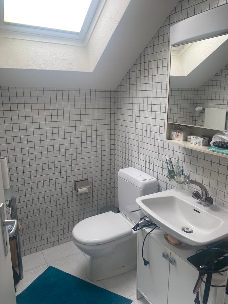 Spacious 3.5-room apartment in central location (10)