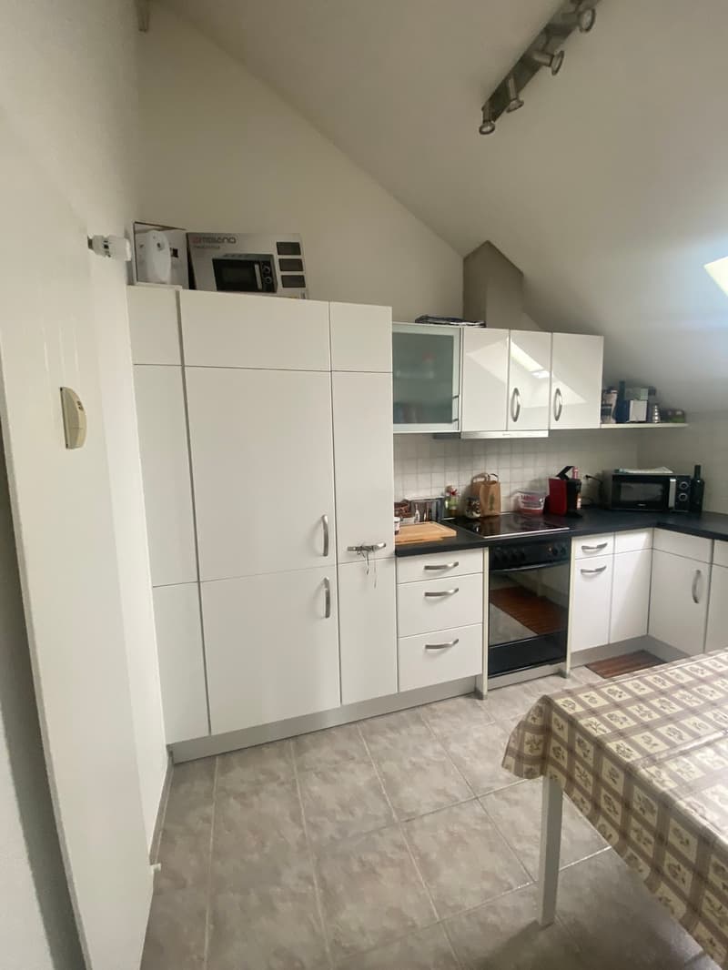 Spacious 3.5-room apartment in central location (5)