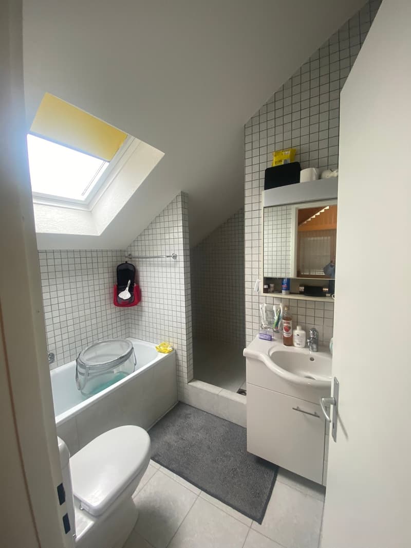 Spacious 3.5-room apartment in central location (9)
