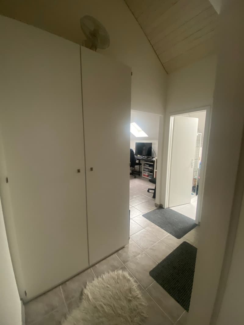 Spacious 3.5-room apartment in central location (8)