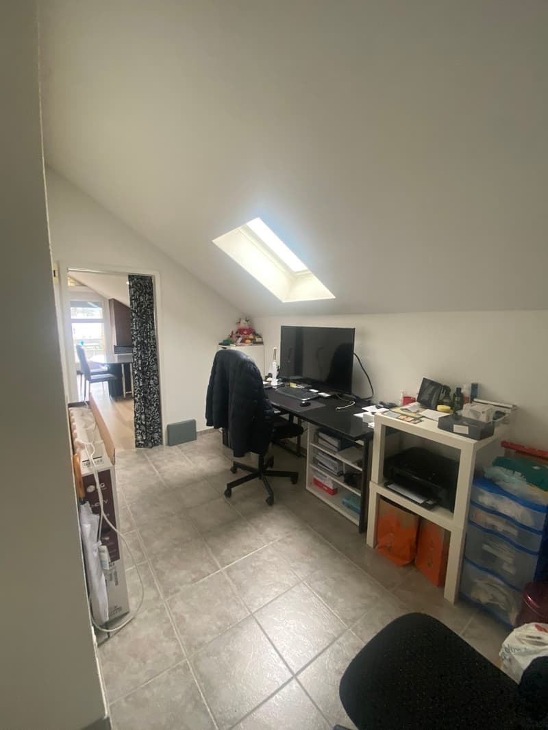 Spacious 3.5-room apartment in central location (7)