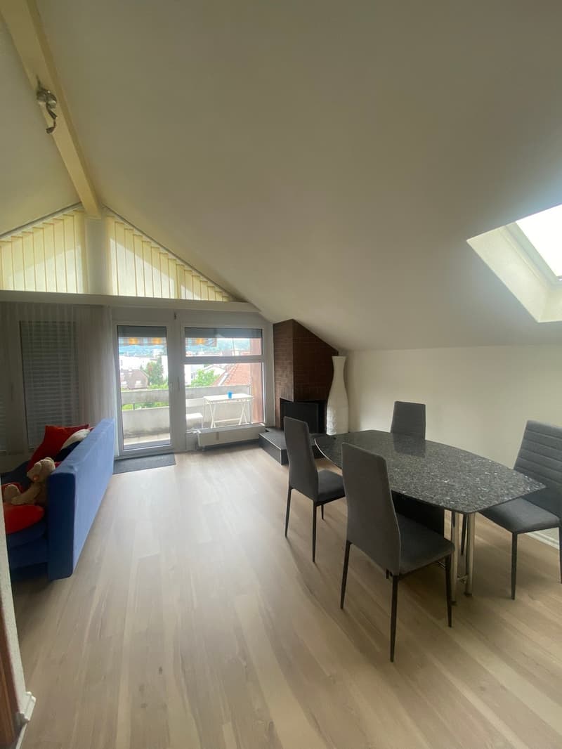Spacious 3.5-room apartment in central location (4)