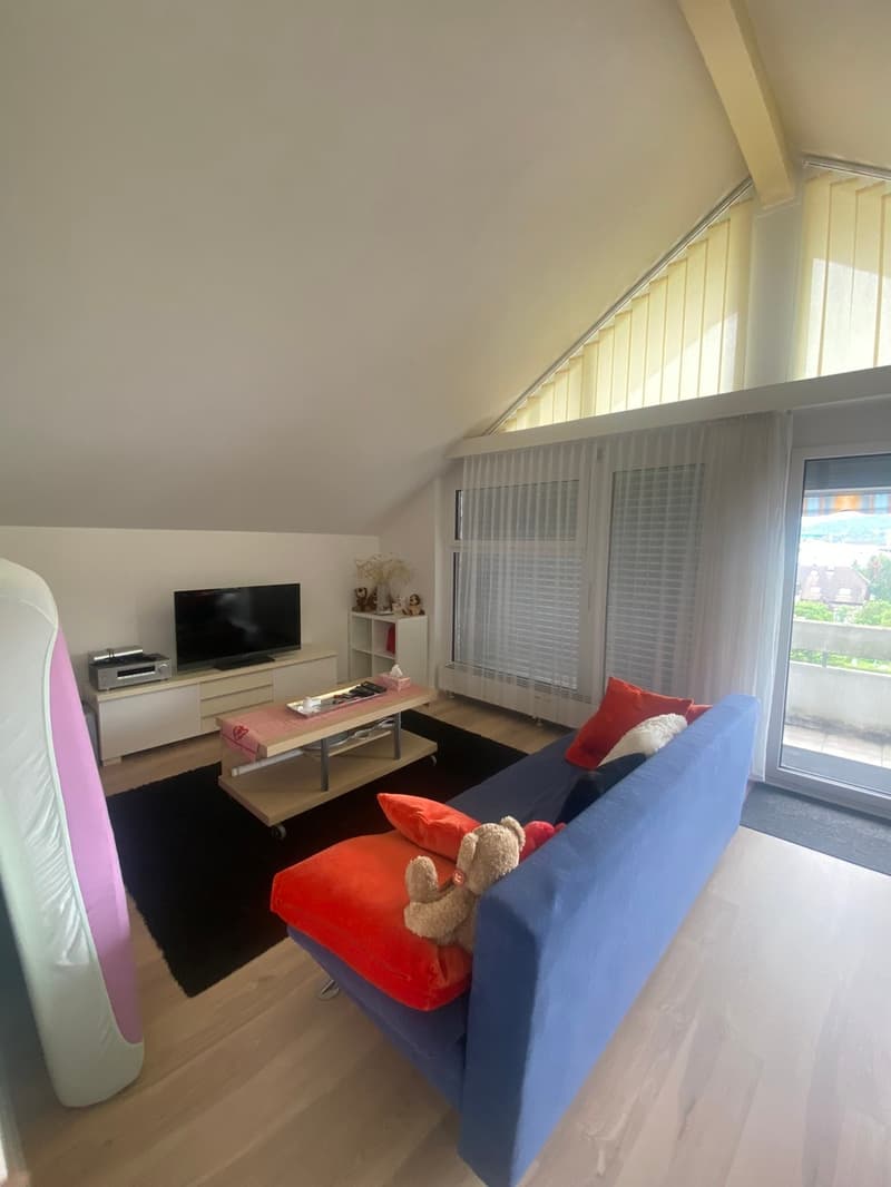Spacious 3.5-room apartment in central location (3)