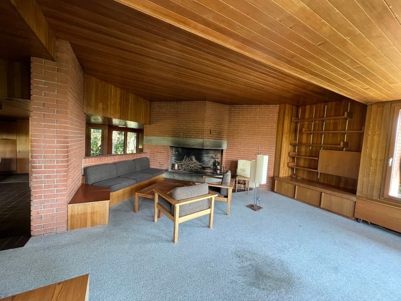Impressive Architect's House with Large Surroundings (9)