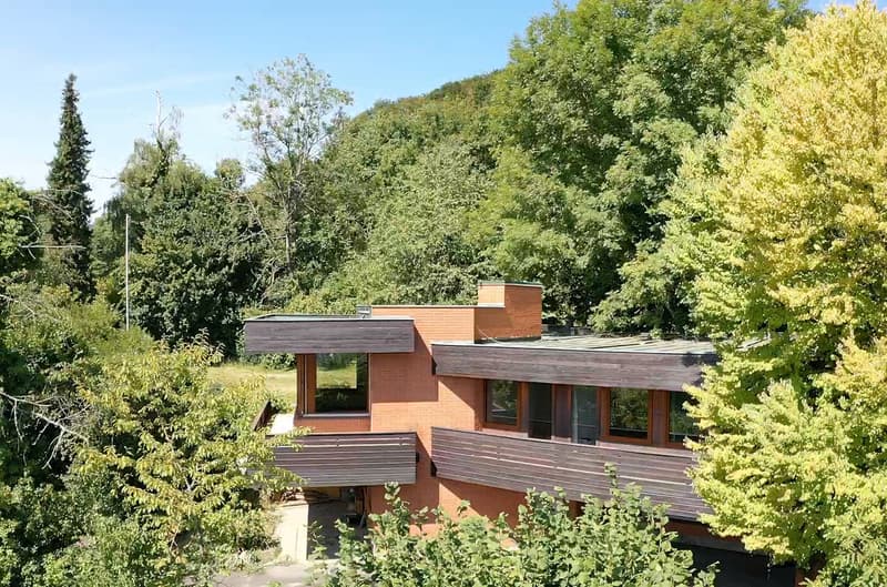 Impressive Architect's House with Large Surroundings (2)