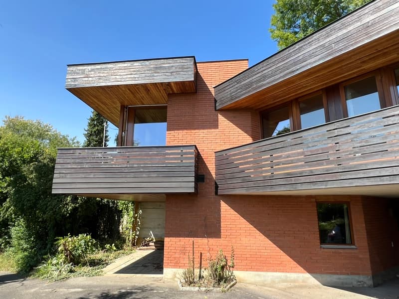 Impressive Architect's House with Large Surroundings (4)