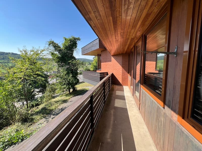 Impressive Architect's House with Large Surroundings (11)