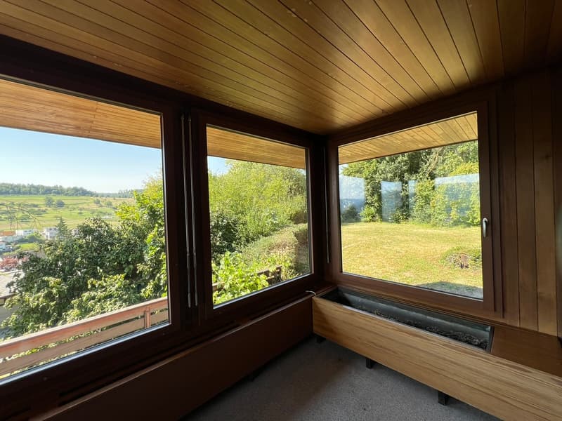 Impressive Architect's House with Large Surroundings (10)