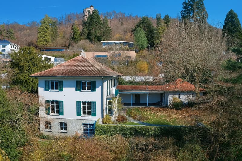 Charmante Landhaus-Villa mit Blick über Arlesheim (1)