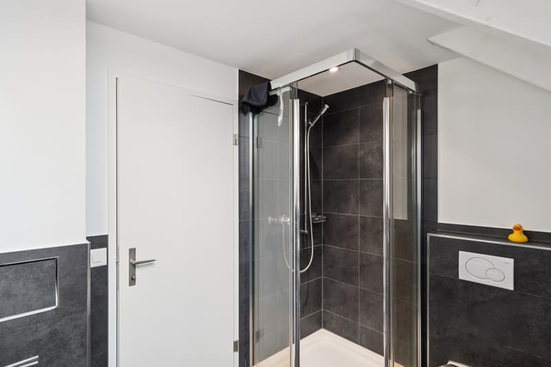 New Price: Exclusive Maisonette Apartment with Stylish Furnishings (8)