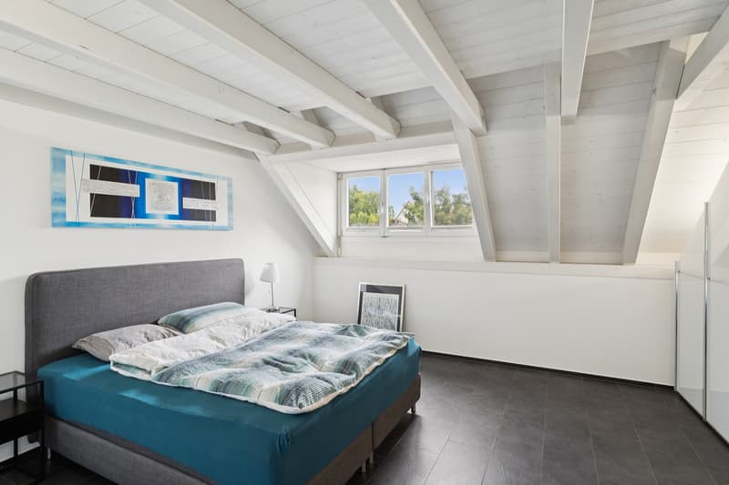 New Price: Exclusive Maisonette Apartment with Stylish Furnishings (6)