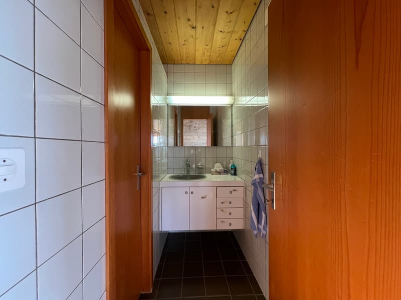 5 Bedroom Single-Family House with Panoramic View of Sissach (3)