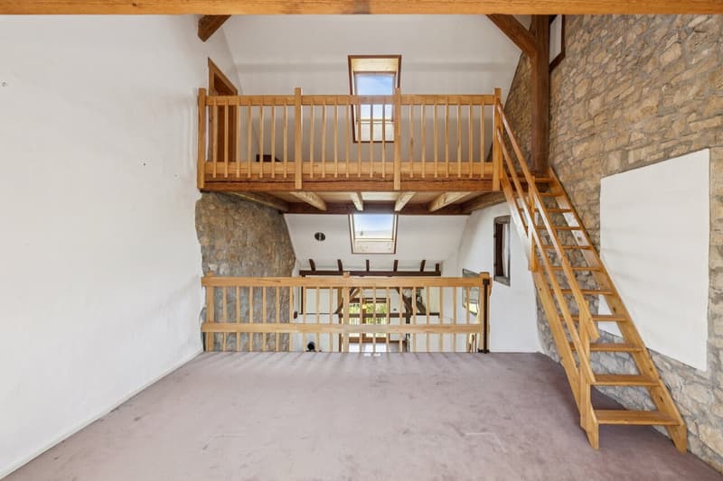 Multi-generation house with historic charm in Pratteln (8)