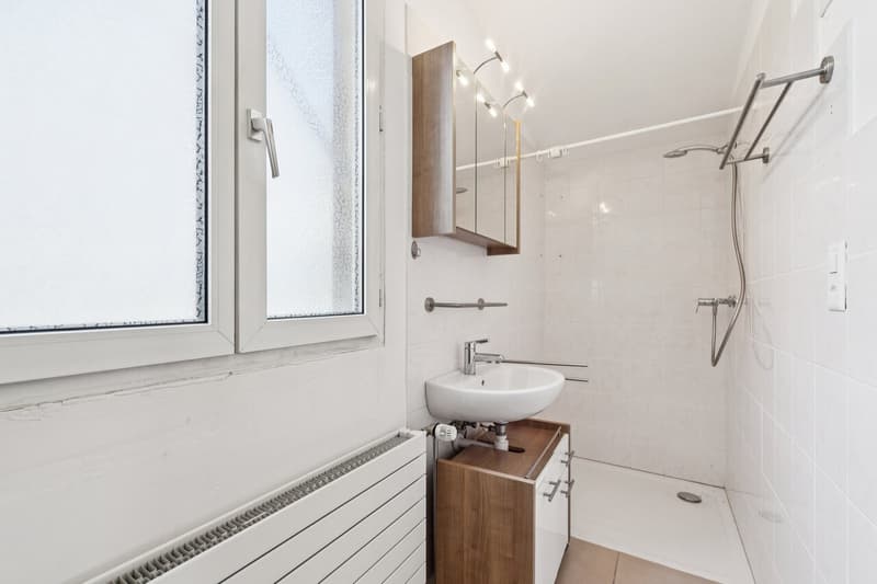 Multi-generation house with historic charm in Pratteln (11)