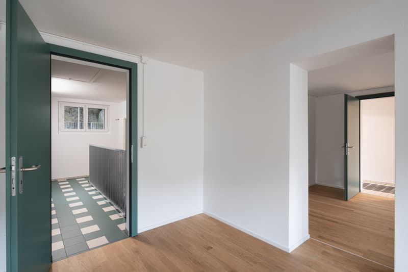 Versatile multi-generation house with history (3)