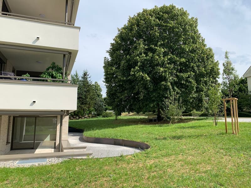 Lindengarten - Modern Living in a Green Oasis (4)