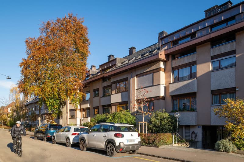 3.5 Zimmer-Wohnung mit Hobbyräumen beim Kannenfeldpark in Basel (1)