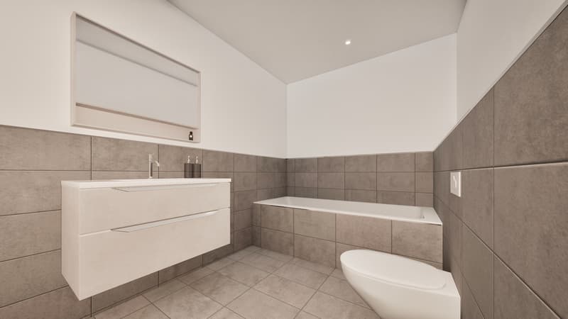 New Build Tellgasse Brislach (7)