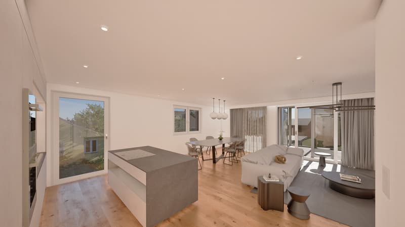 New Build Tellgasse Brislach (2)