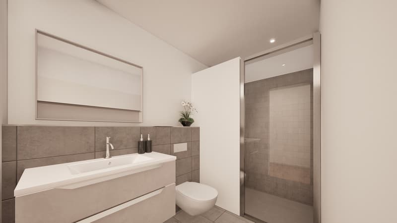 New Build Tellgasse Brislach (8)