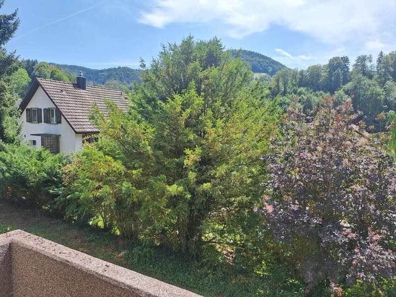 Freistehendes Einfamilienhaus mit angebautem Carport / Geräteschuppen (9)