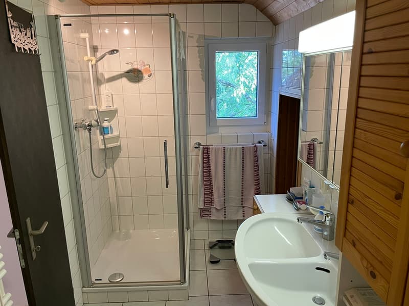 Bezaubernde Maisonette-Dachwohnung in Binningen (12)