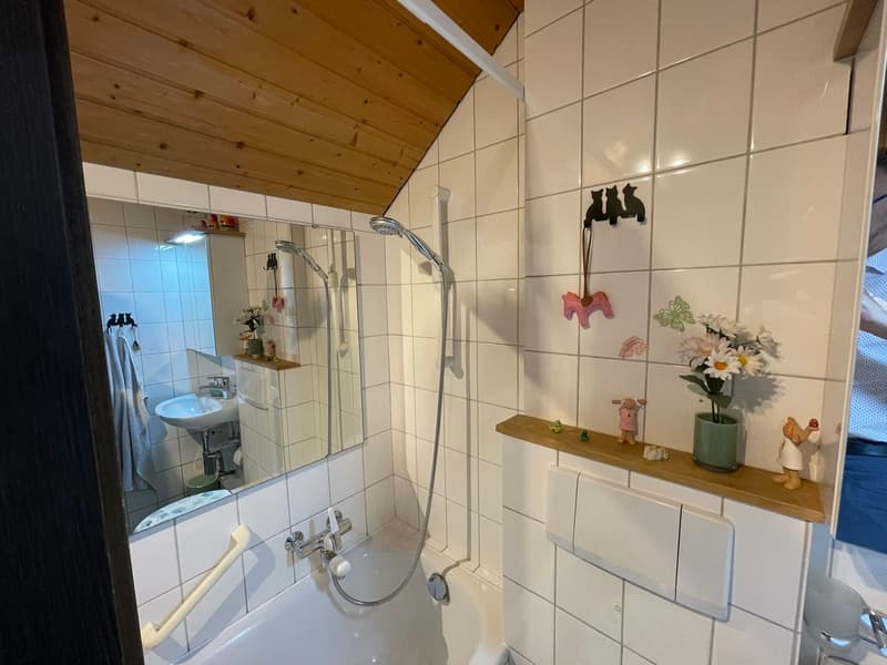 Bezaubernde Maisonette-Dachwohnung in Binningen (7)