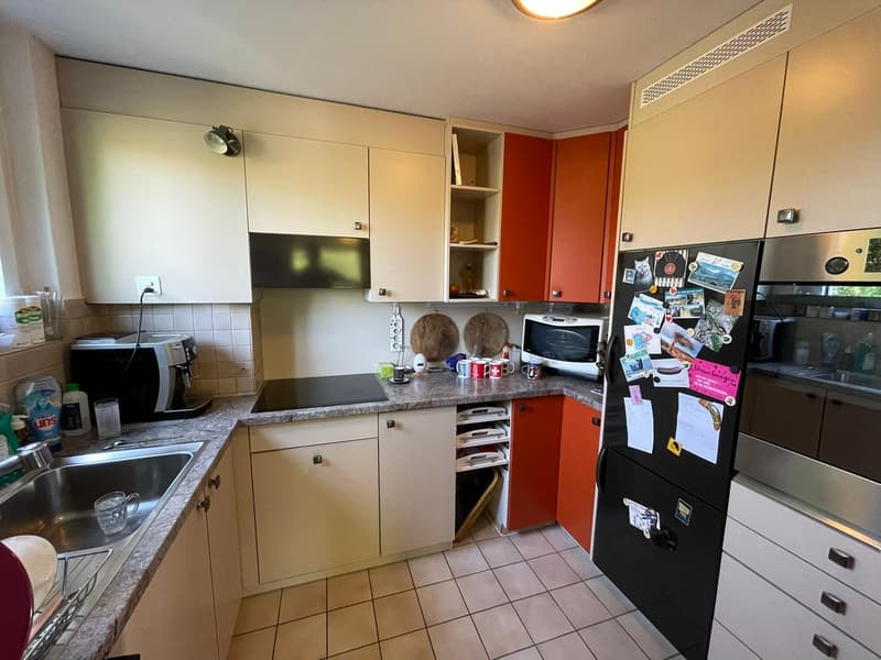 Bezaubernde Maisonette-Dachwohnung in Binningen (5)