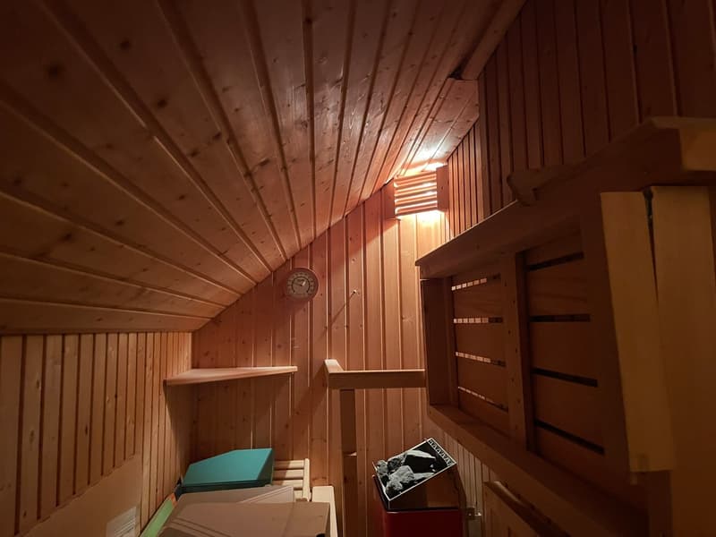 Bezaubernde Maisonette-Dachwohnung in Binningen (13)