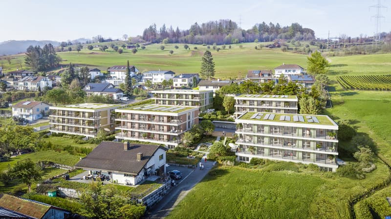 Neubau Fluhblick - Wohnen mit Aussicht, Komfort und Lebensqualität (7)