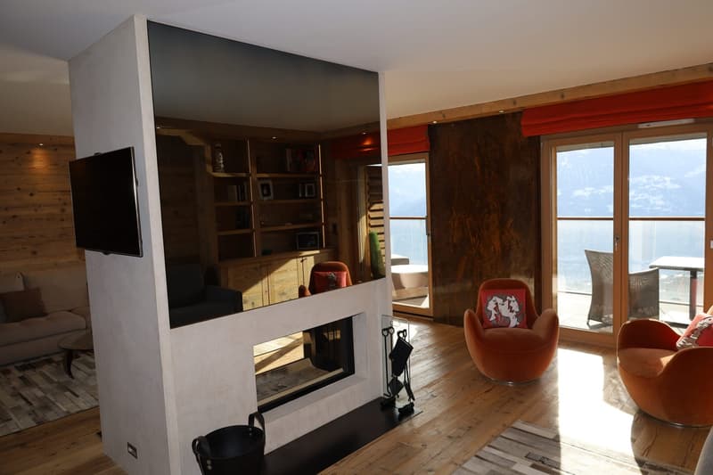 Fireplace, television, open shelving, wooden flooring, modern design, glass doors