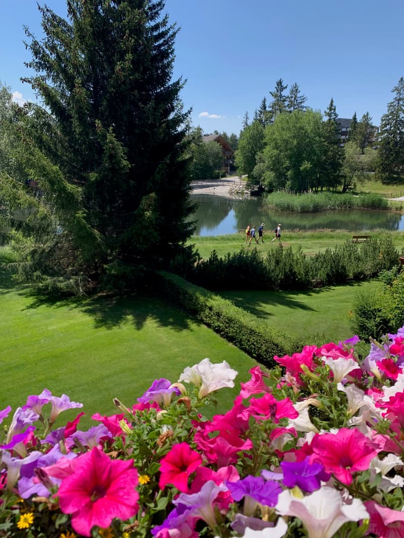 A garden with various plants and flowers, trees, people walking, and a river in the background