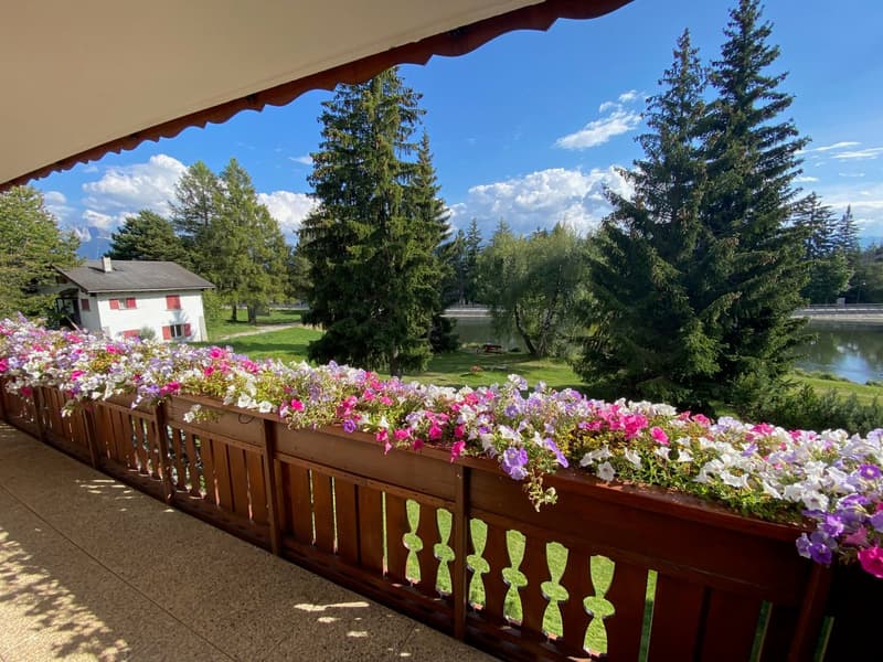 Magnifique appartement de 3,5 pièces avec vue exceptionnelle à Crans-Montana (12)