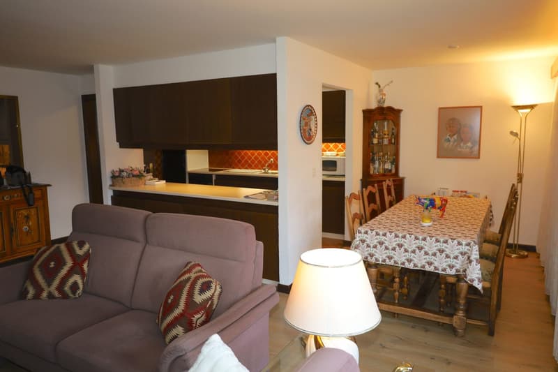 open plan living room with dining area, sofa, dining table, kitchen with appliances