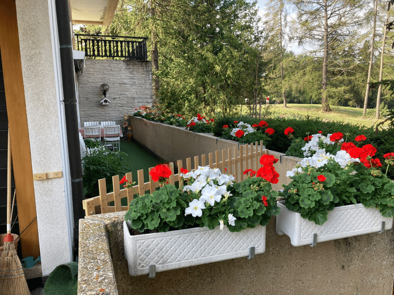Magnificent 4.5-room apartment with a view in Crans (17)