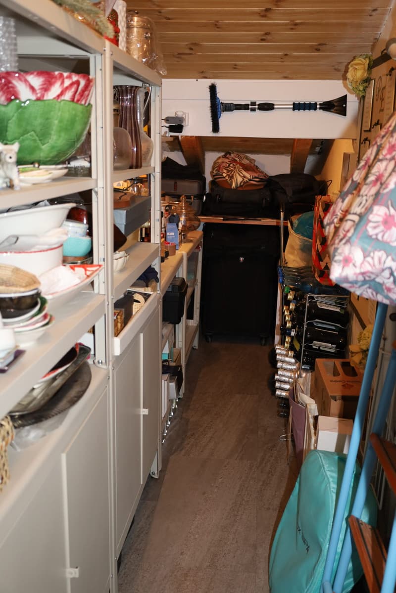 a narrow storage room with cabinets, shelves, floor space with storage boxes, bags, bottles, a shovel and broom, a yellow flower on the wall and a carpet