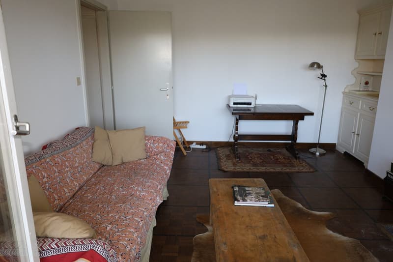 Charming 2.5-room apartment with breathtaking views in Crans (3)